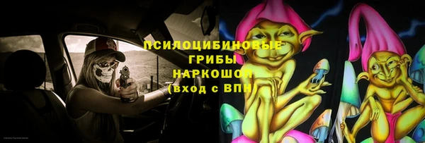 spice Новозыбков