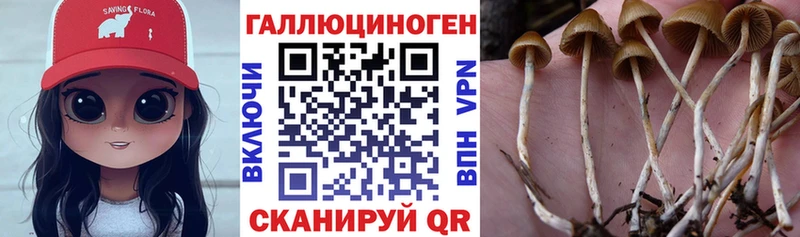 Галлюциногенные грибы Cubensis  Чебаркуль 